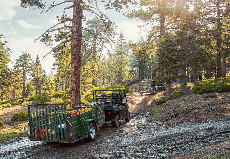 CARGO BED