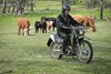 2025 STOCKMAN