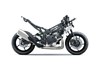 2024 NINJA ZX-4RR KRT EDITION