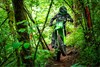 2025 KX250X